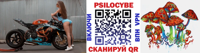купить наркотик  Мостовской  Псилоцибиновые грибы GOLDEN TEACHER 